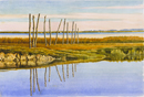 Marsh Fence