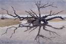 Skeleton Trees